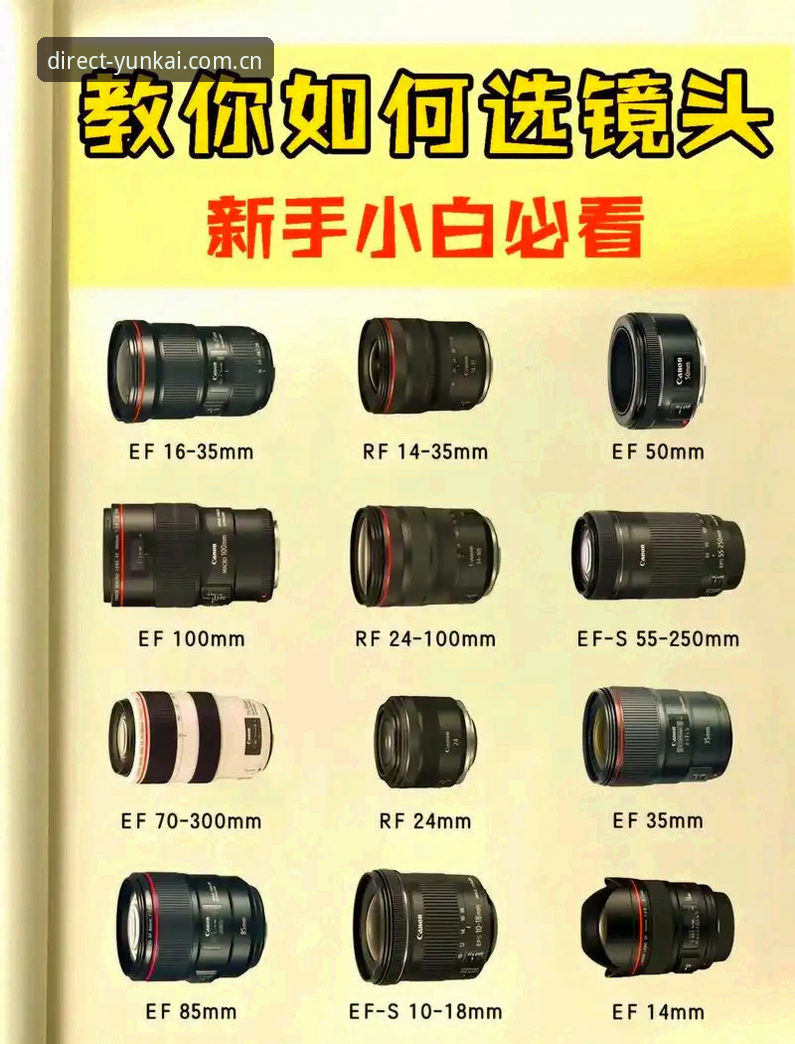 云开全站iOS版教程 云开全站iOS版安装与使用完整指南:从零开始的创新探索